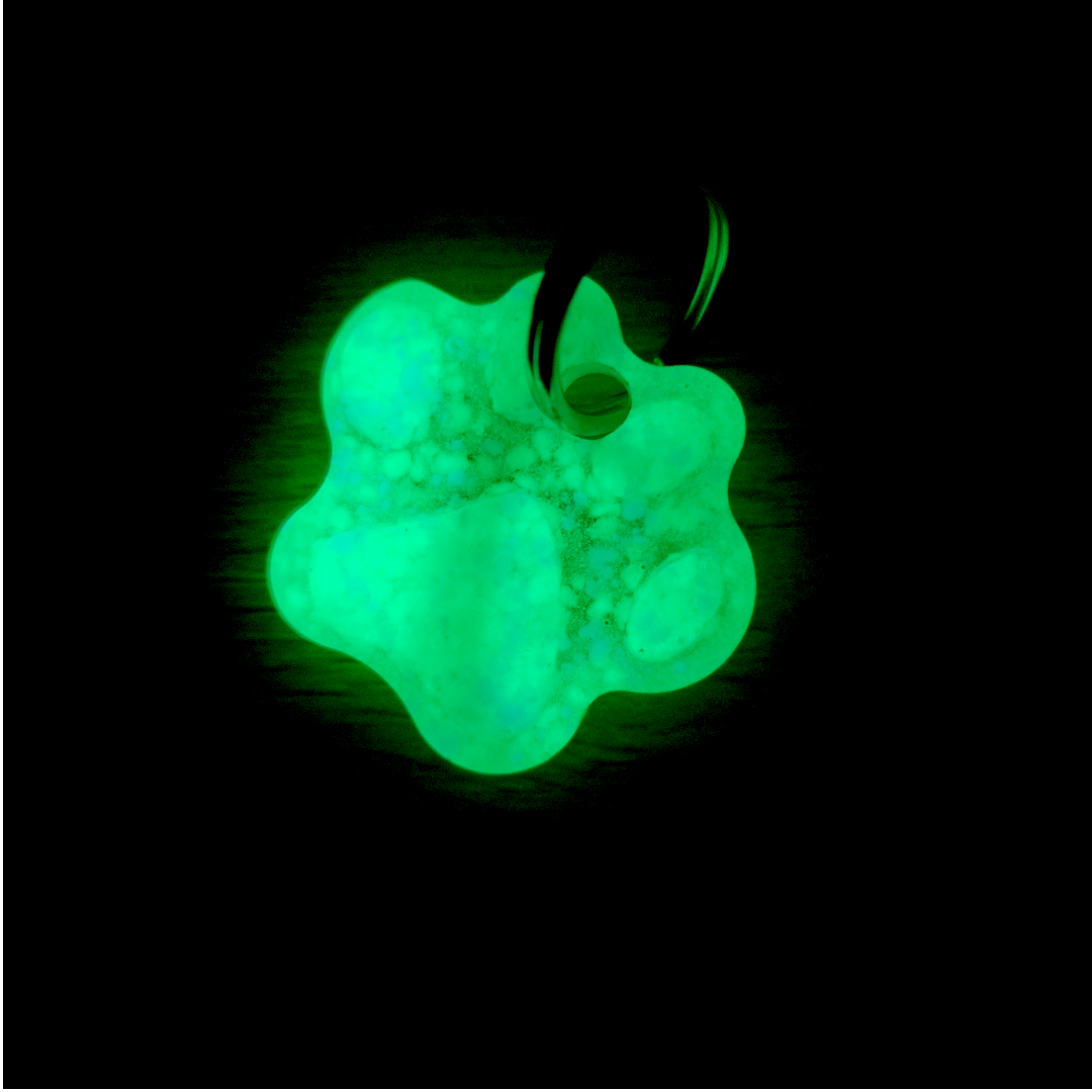 UVPAQLITE GLOW IN THE DARK PET TAG | GLOWING